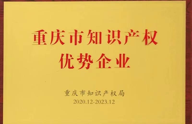 知識(shí)產(chǎn)權(quán)優(yōu)勢(shì)企業(yè)